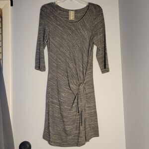 Anthropologie Dolan Dress Women's Size Medium petite Gray Tie